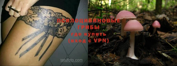 метадон Алексеевка