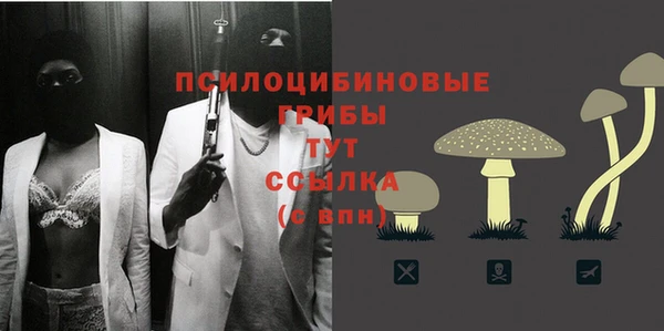 метадон Алексеевка