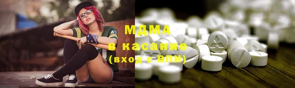 ГАЛЛЮЦИНОГЕННЫЕ ГРИБЫ Михайлов